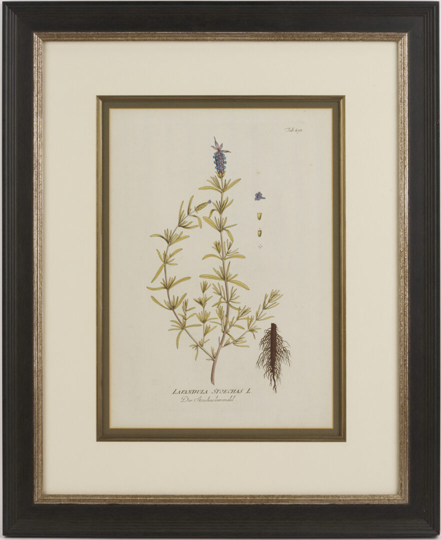 Lot 544: 4 Framed 18th C.  Botanical Prints, J. von Plenck