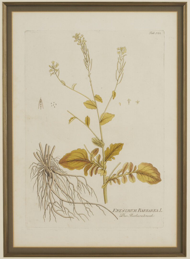 Lot 544: 4 Framed 18th C.  Botanical Prints, J. von Plenck