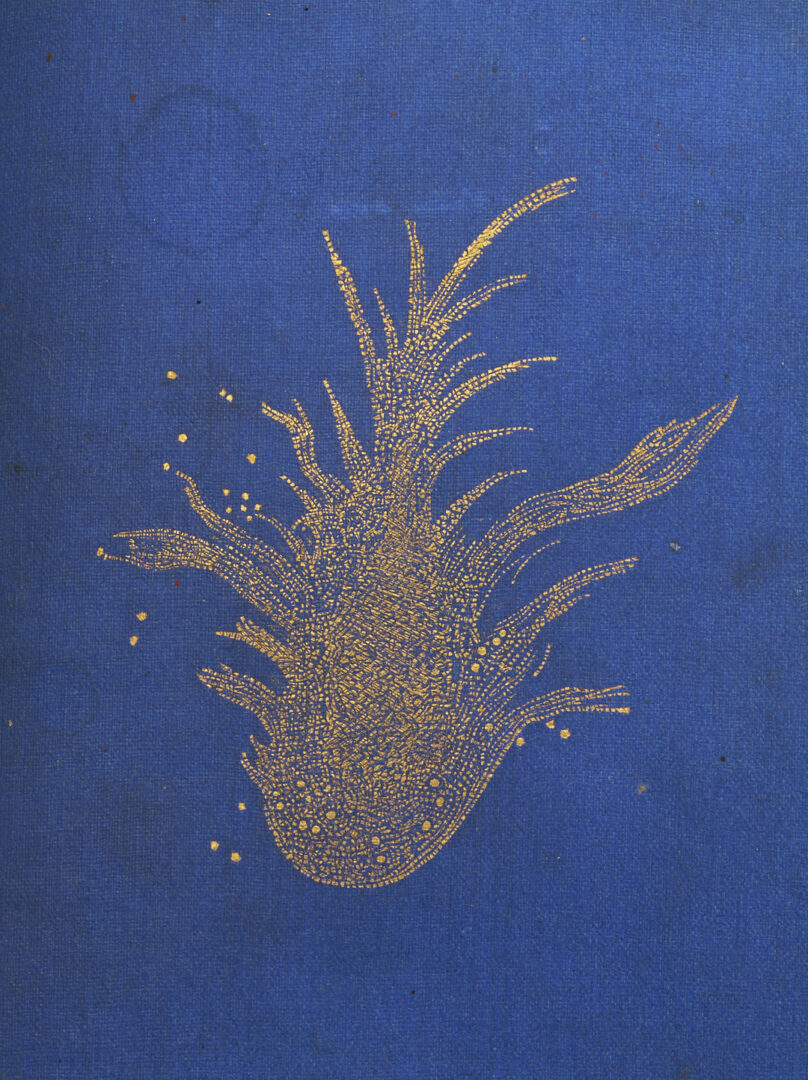 Lot 548: 8 Lewis Carroll Books, First Editions