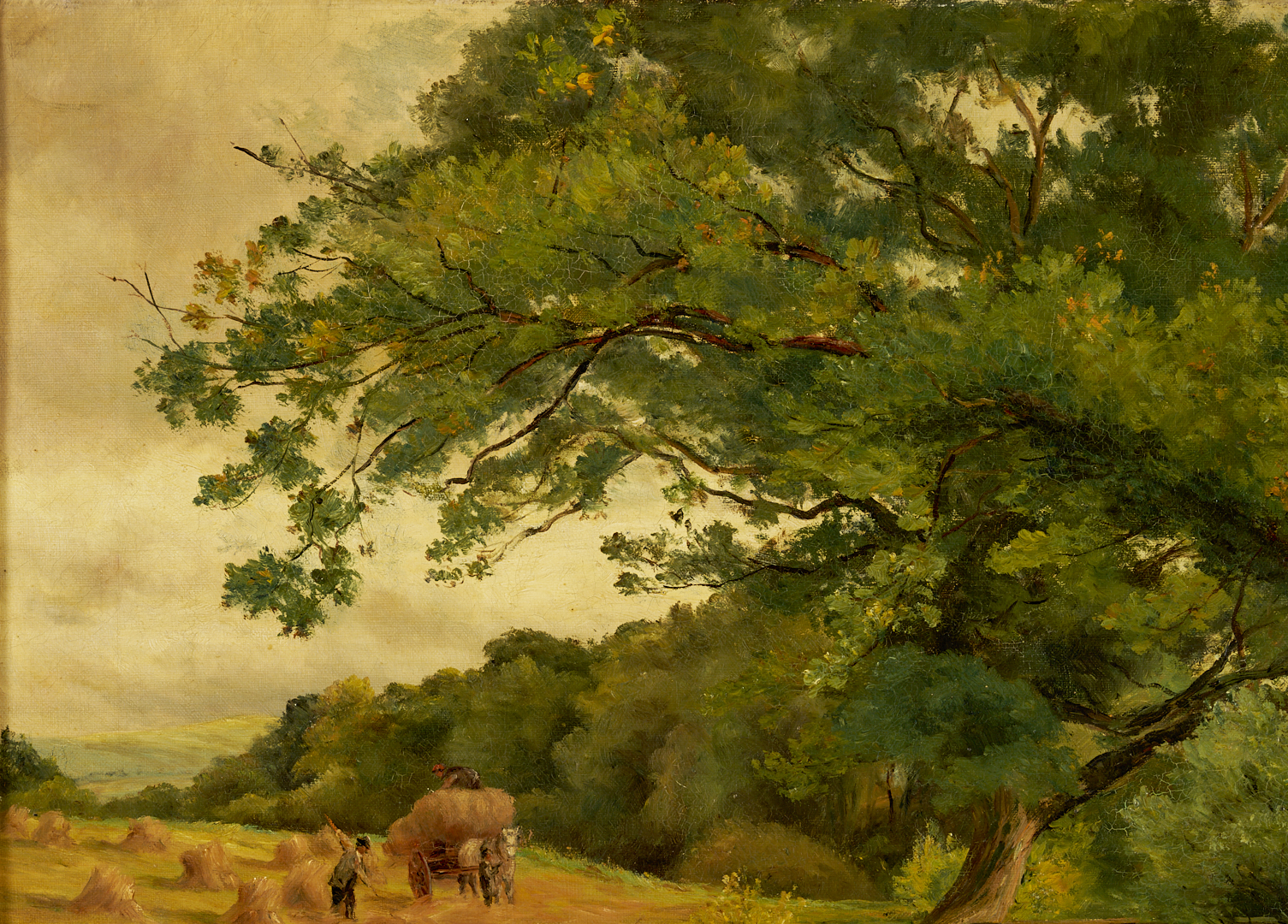 Lot 635: Peter Buchanan O/C Scottish Forest Landscape Painting