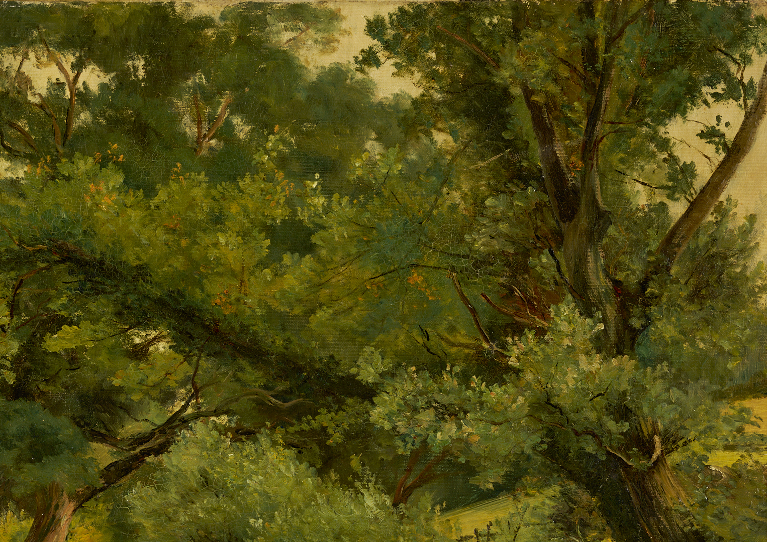 Lot 635: Peter Buchanan O/C Scottish Forest Landscape Painting