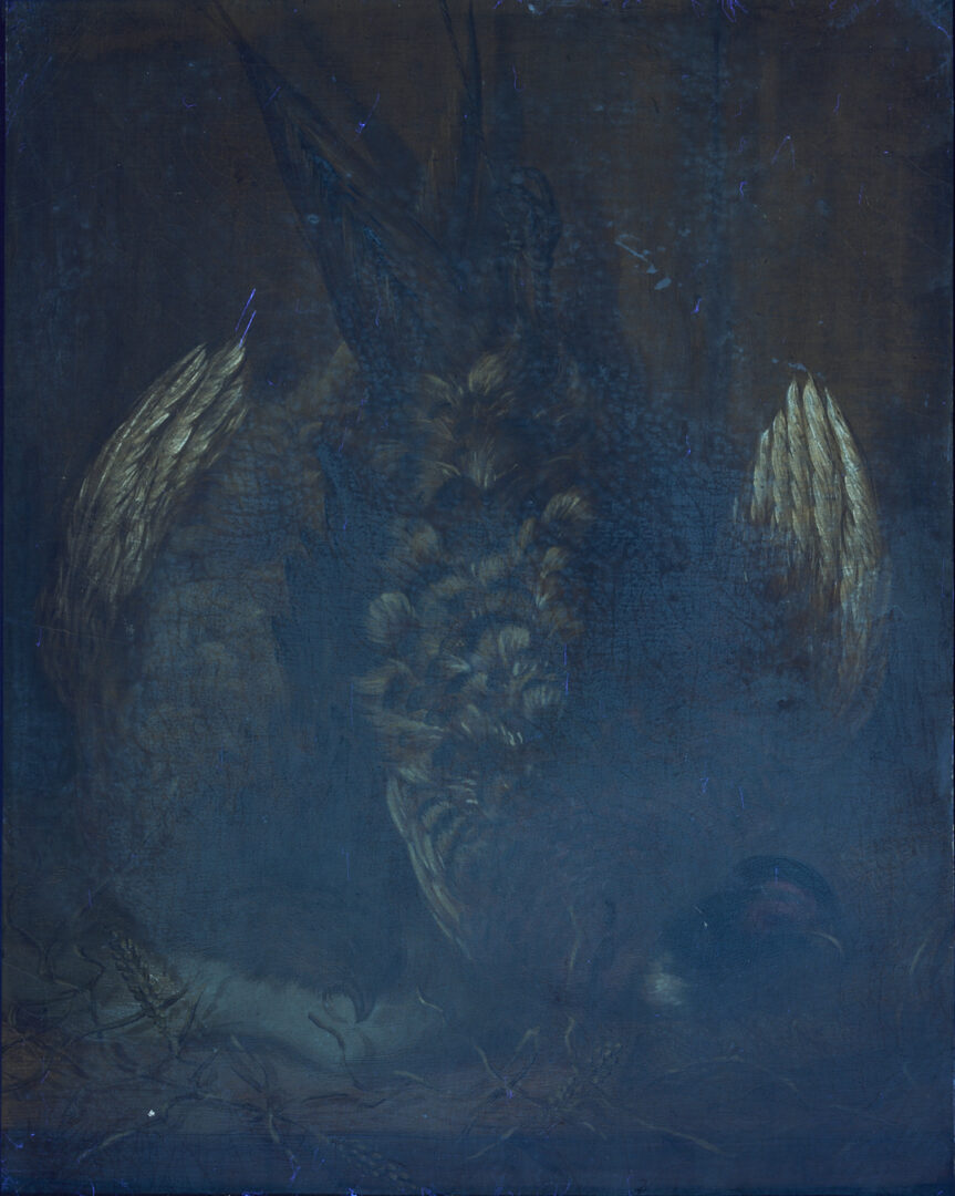 Lot 649: 19th C. Nature Morte Oil Painting, Still Life with Pheasant