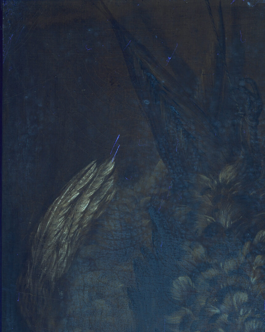 Lot 649: 19th C. Nature Morte Oil Painting, Still Life with Pheasant