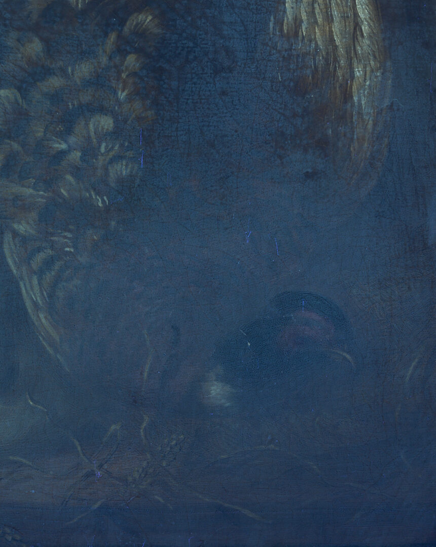 Lot 649: 19th C. Nature Morte Oil Painting, Still Life with Pheasant