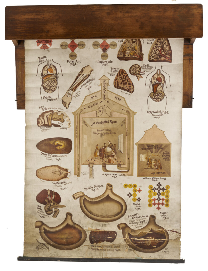 Lot 675: 5 Anatomy or Science Charts in Oak Case