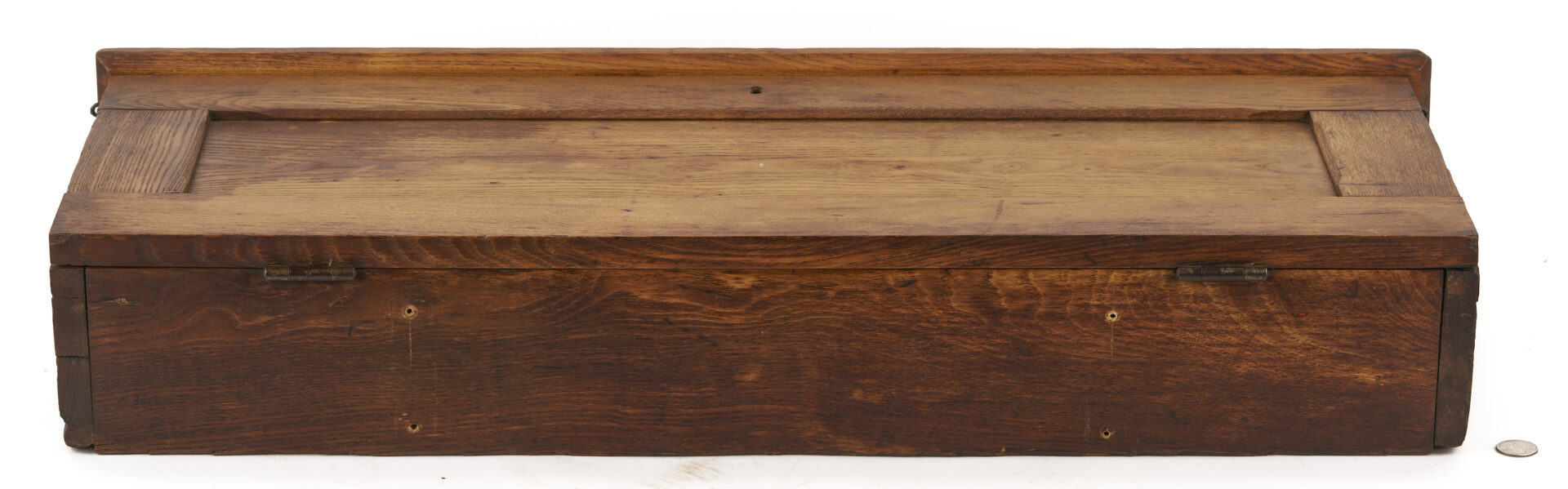 Lot 675: 5 Anatomy or Science Charts in Oak Case