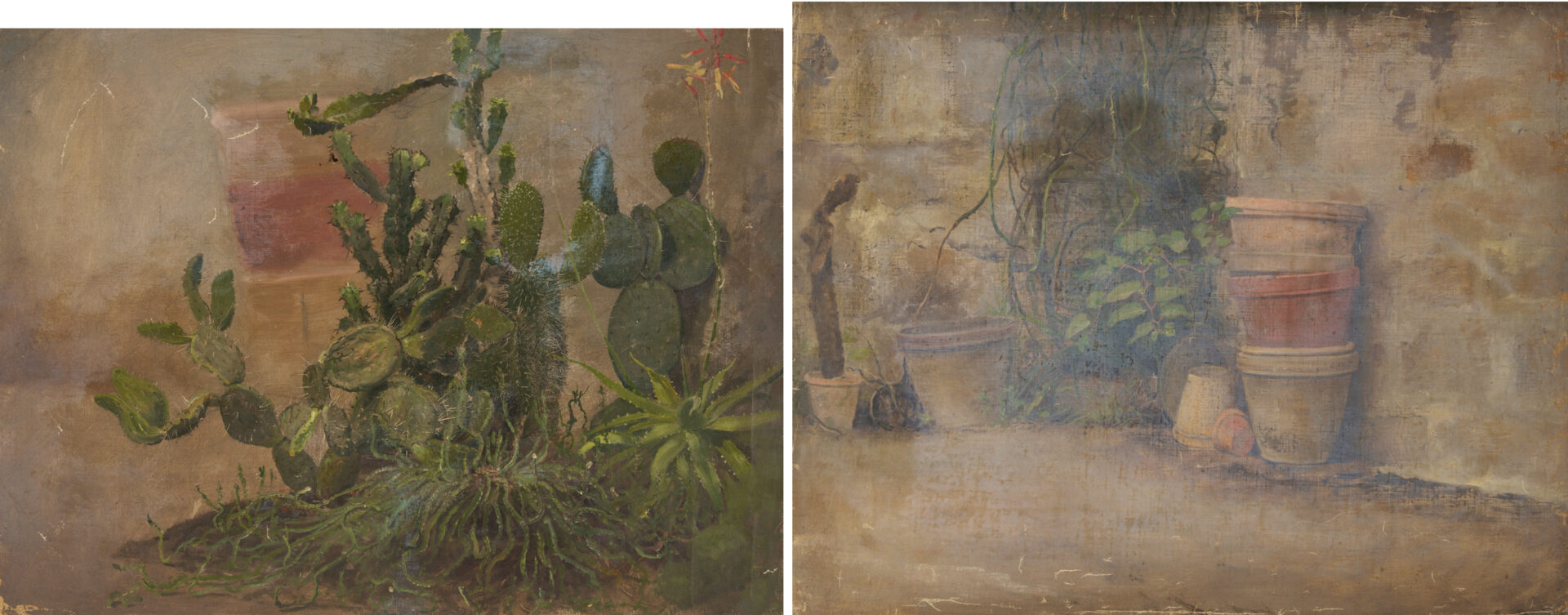 Lot 944: 2 Carl Gutherz O/C Plant Studies Incl. Cactus