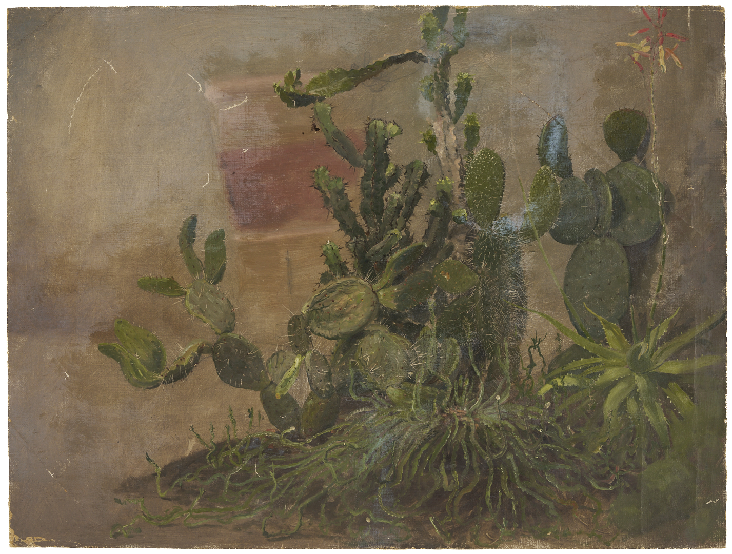 Lot 944: 2 Carl Gutherz O/C Plant Studies Incl. Cactus