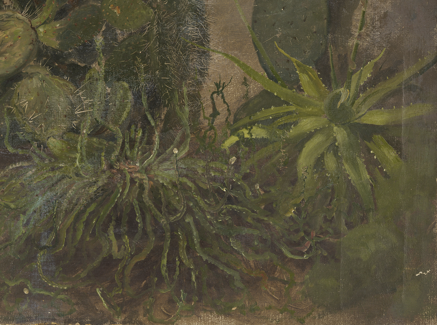 Lot 944: 2 Carl Gutherz O/C Plant Studies Incl. Cactus