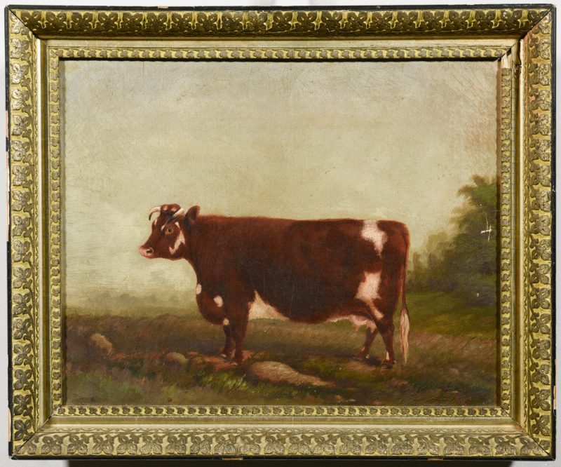 Portrait of a prize Devon cow (lot 219)
