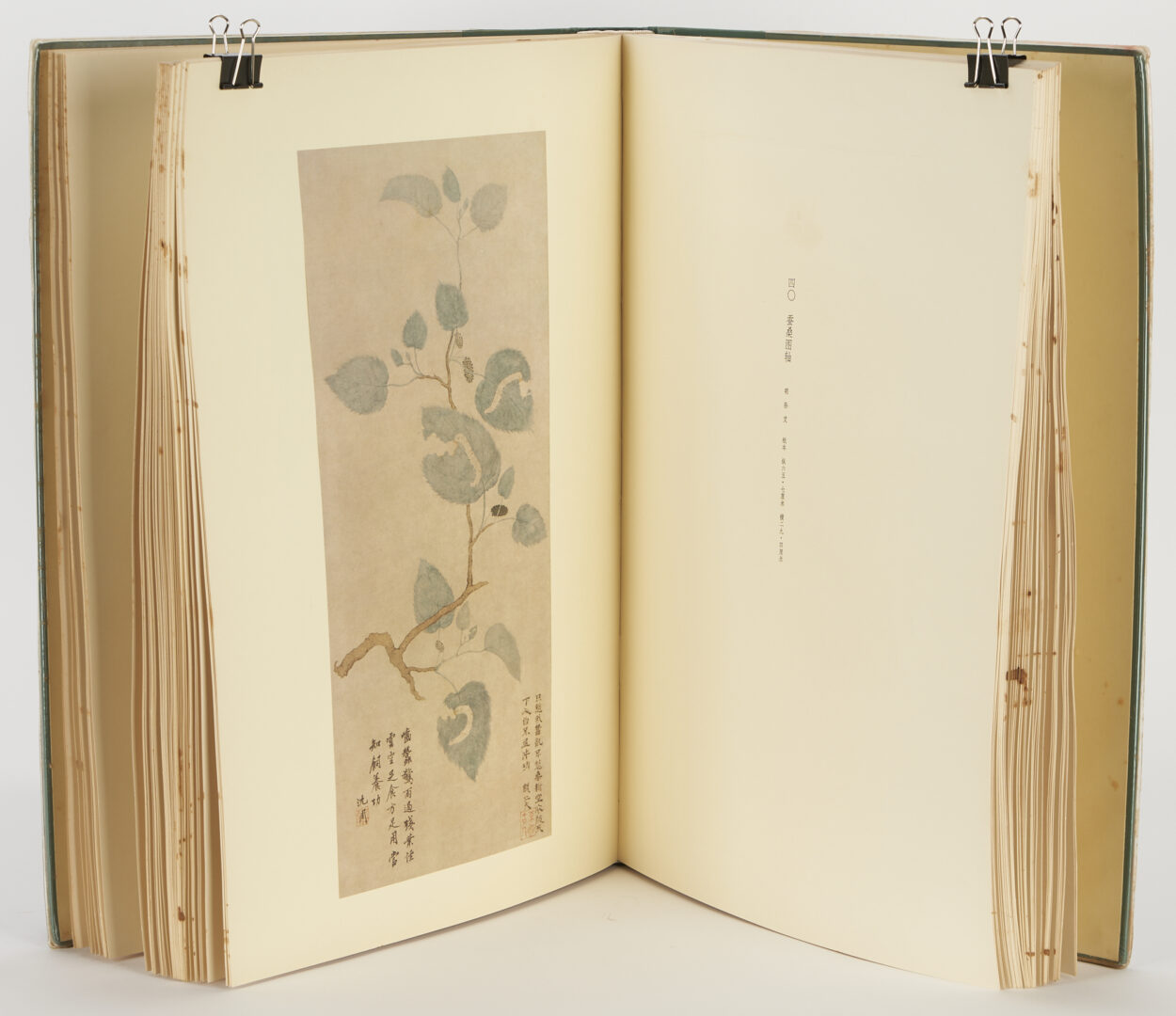 Lot 871: Bird & Flower Paintings from the Palace Museum, Beijing, Oversized Book