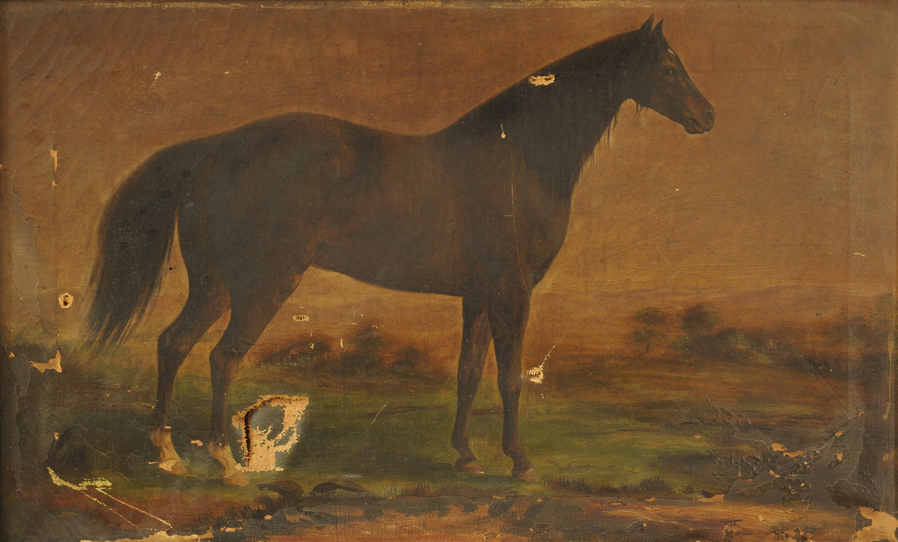Lot 363: KY or TN horse portrait, possibly Hall's Black Haw
