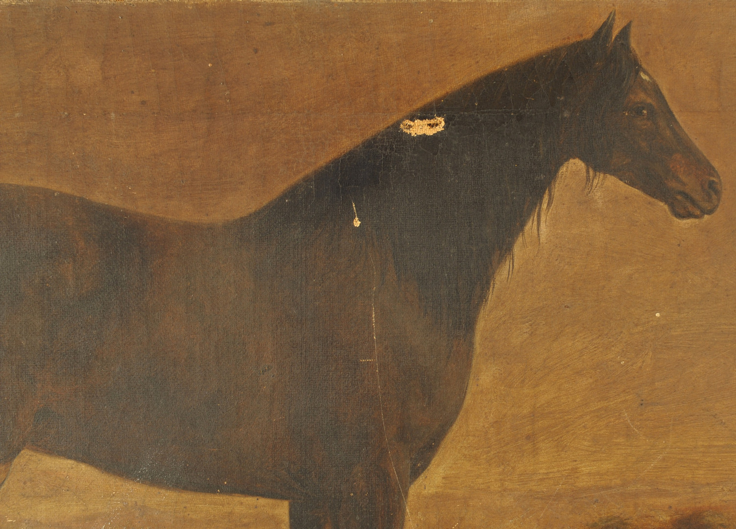 Lot 363: KY or TN horse portrait, possibly Hall's Black Haw