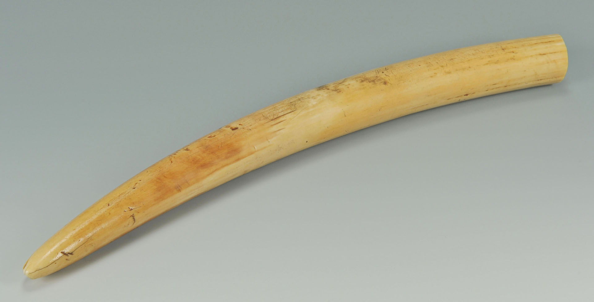 Lot 3: Antique Elephant Ivory Tusk