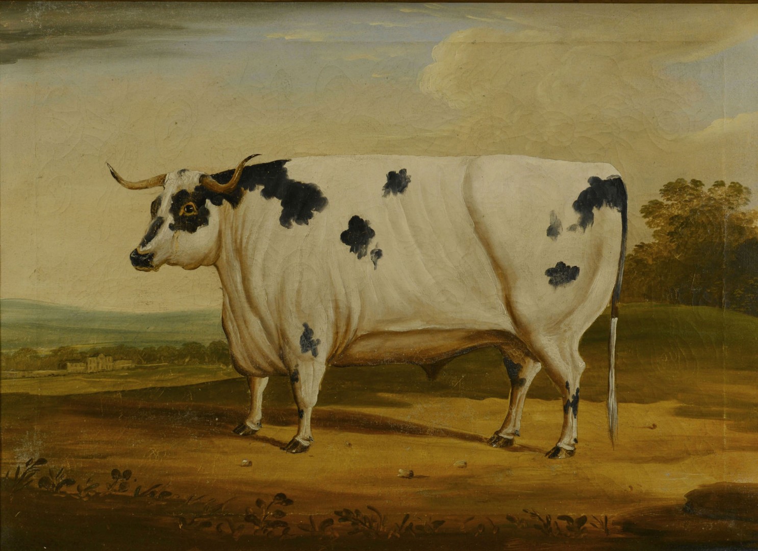Lot 40: English school, 19th century, Prize Bull Painting