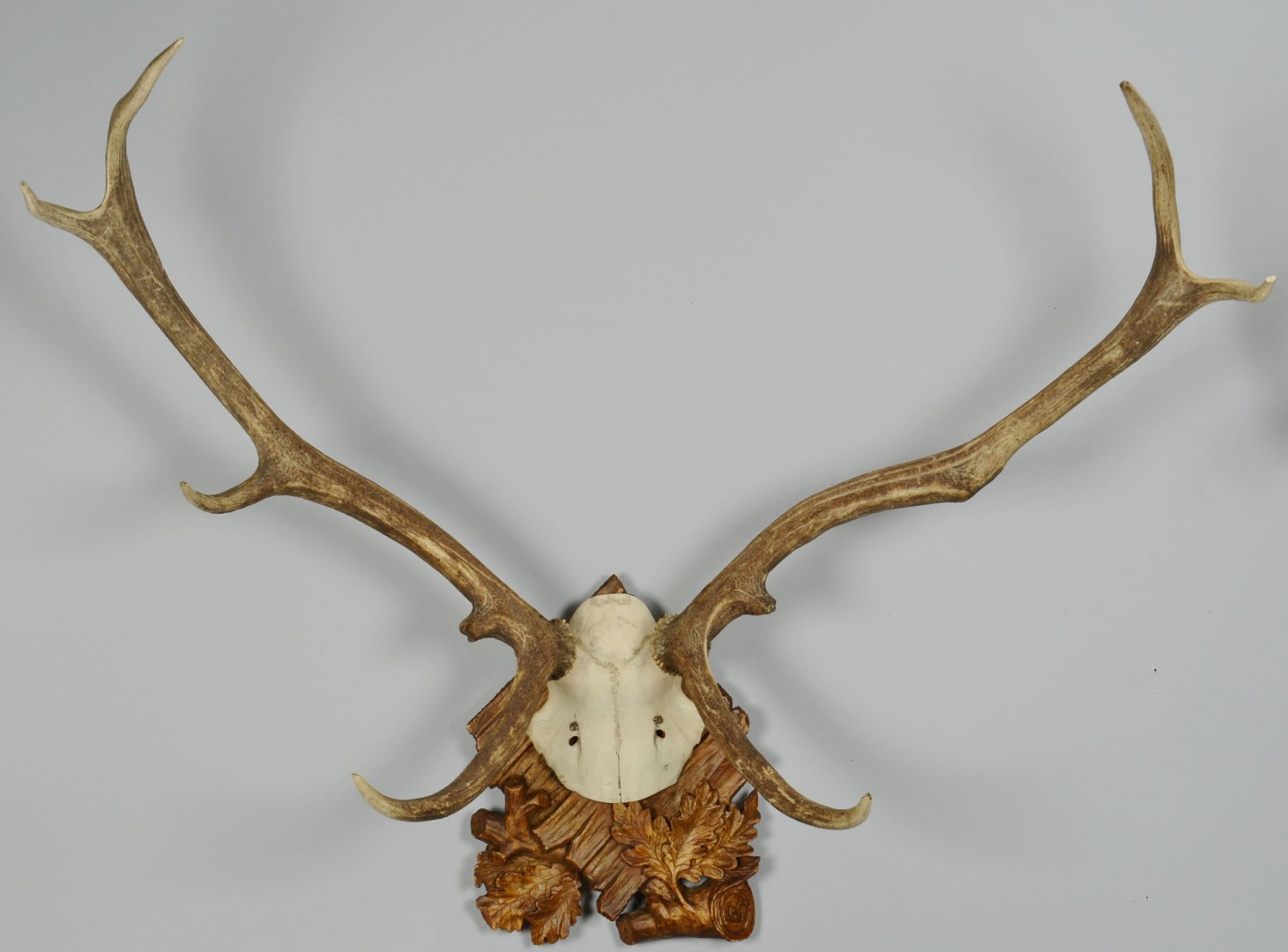 Lot 553: 2 Marked Elk Antlers on Carved Plaques