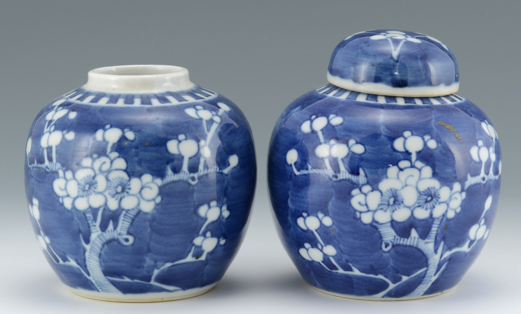 Lot 494: Chinese Hawthorne or Prunus Porcelain Jars