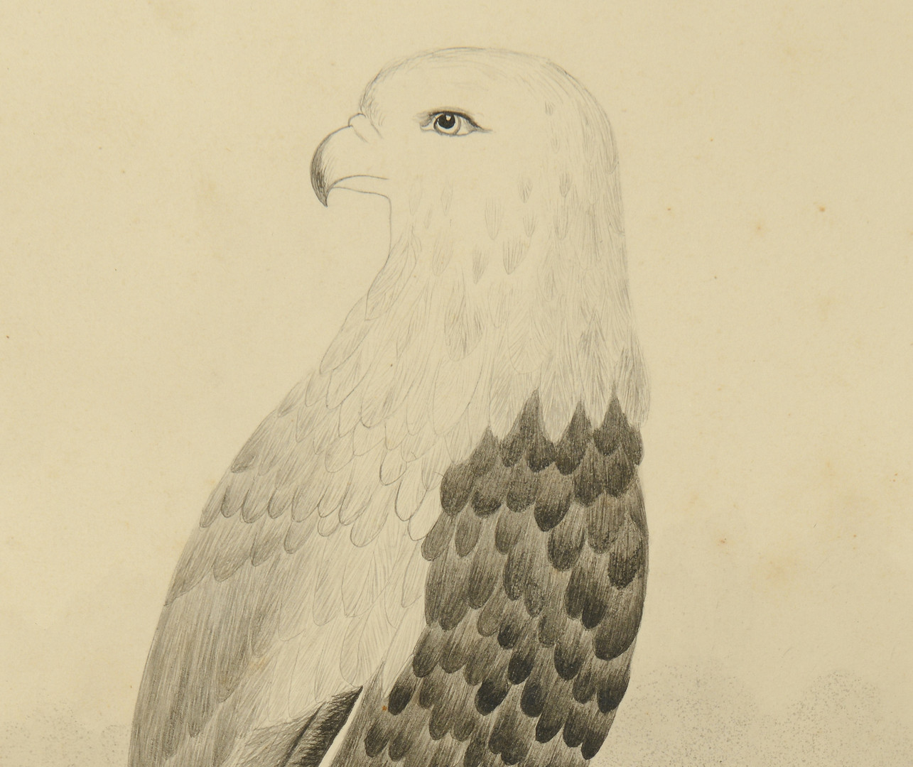 Lot 609: Folk Art Works of Eagles & Shield