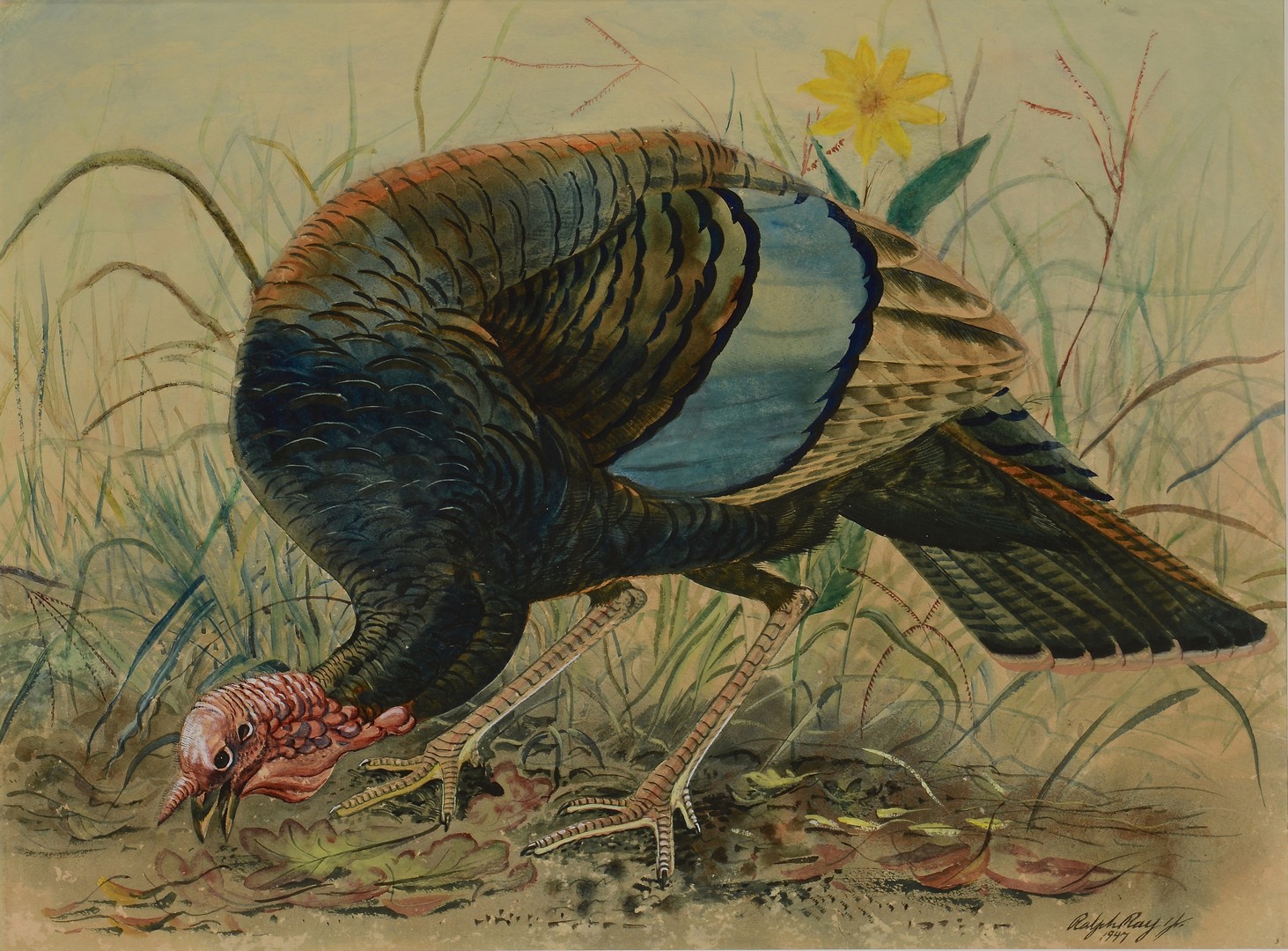Lot 254: Ralph Ray Watercolor of Turkey