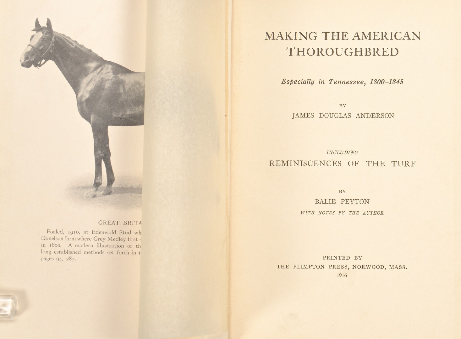 Lot 743: 2 Tennessee Horse books