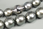 Lot 342: Tahitian Pearl Necklace, 18k clasp | Case Auctions