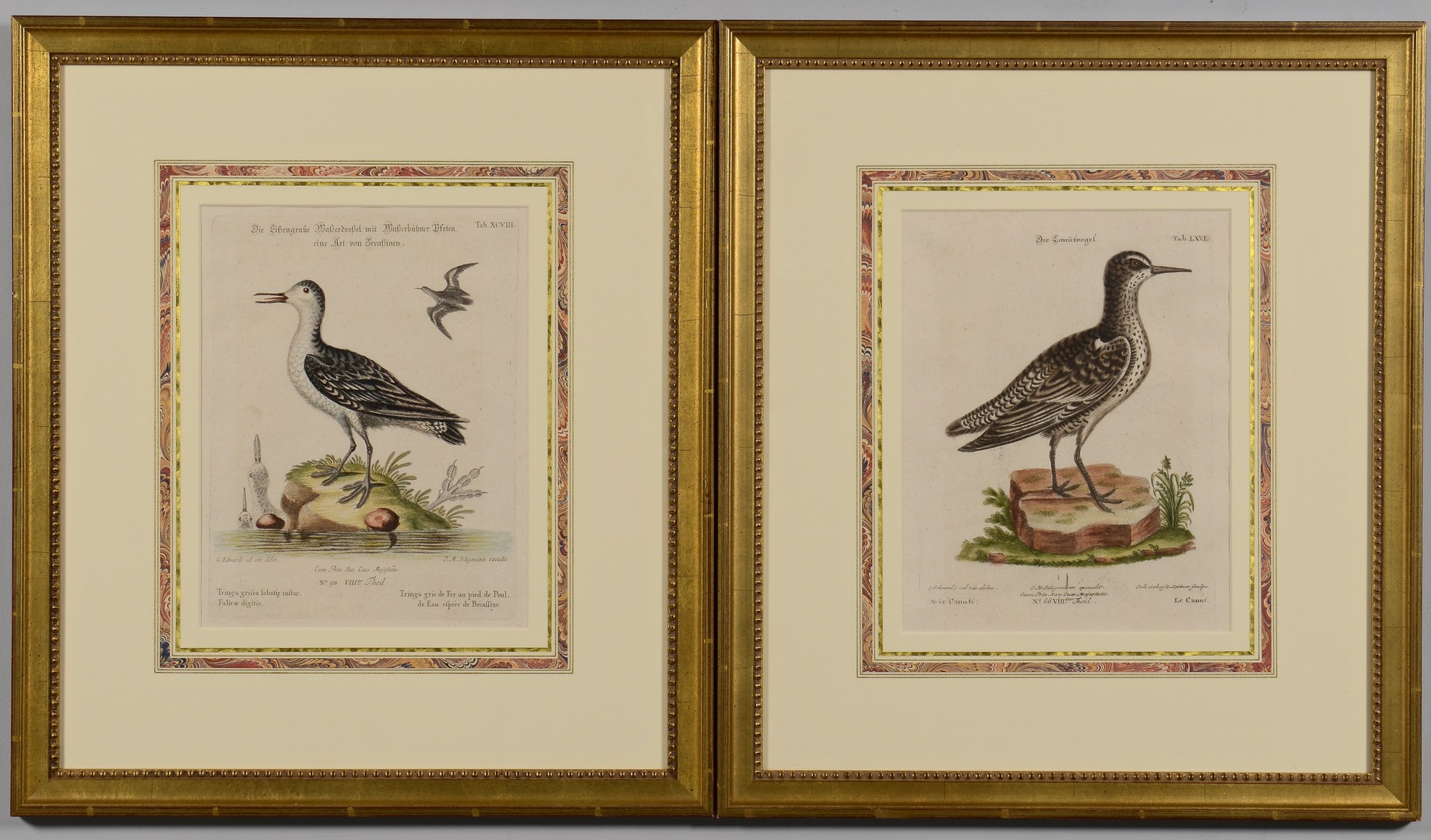 Lot 674: Group of Bird decoys and 19th c. prints