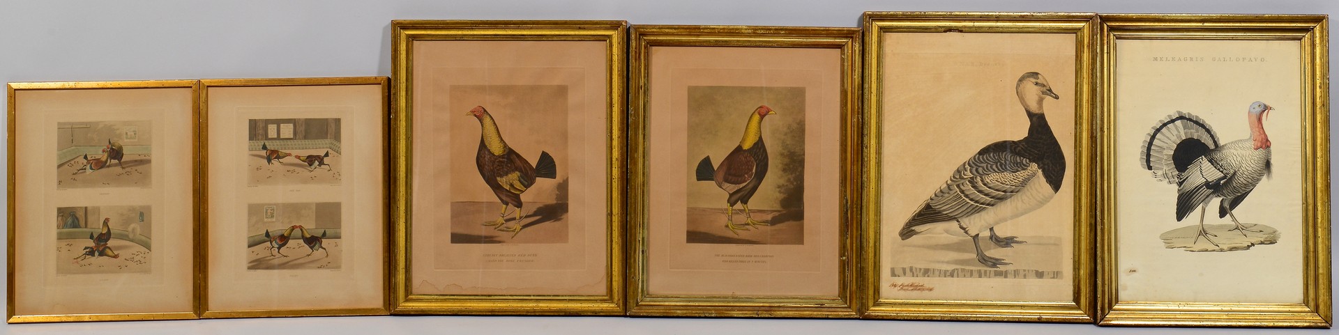 Lot 774: Six 18th & 19th Cent. Fowl Prints
