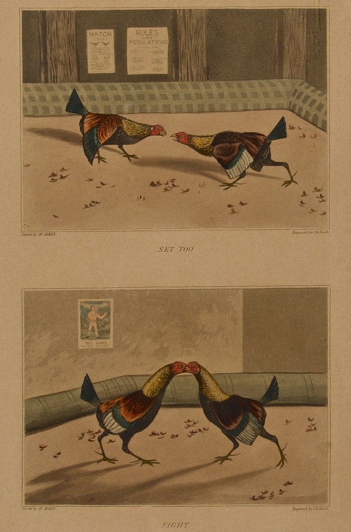 Lot 774: Six 18th & 19th Cent. Fowl Prints
