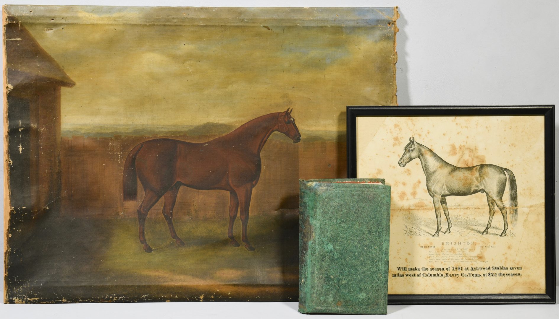 Lot 532: Sam Spode O/C, Polk-Yeatman Horse Archive
