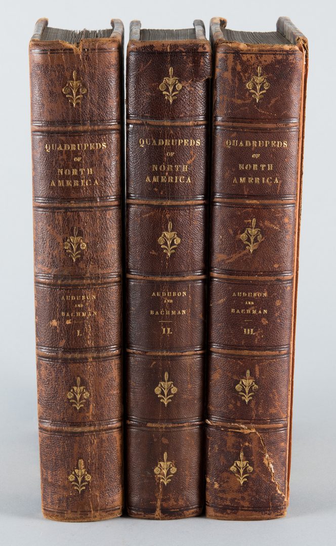 Lot 555: J.J. Audubon: 3 Vols. Quadrupeds of America