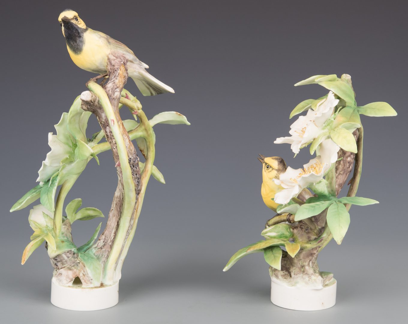 Lot 614: Pair Dorothy Doughty Hooded Warblers