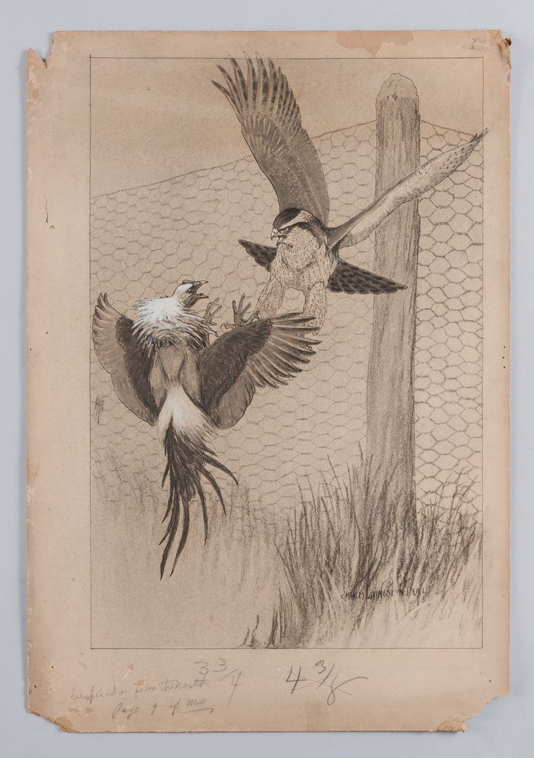Lot 784: 2 Chas. L. Bull illustrations, skunks and hawk