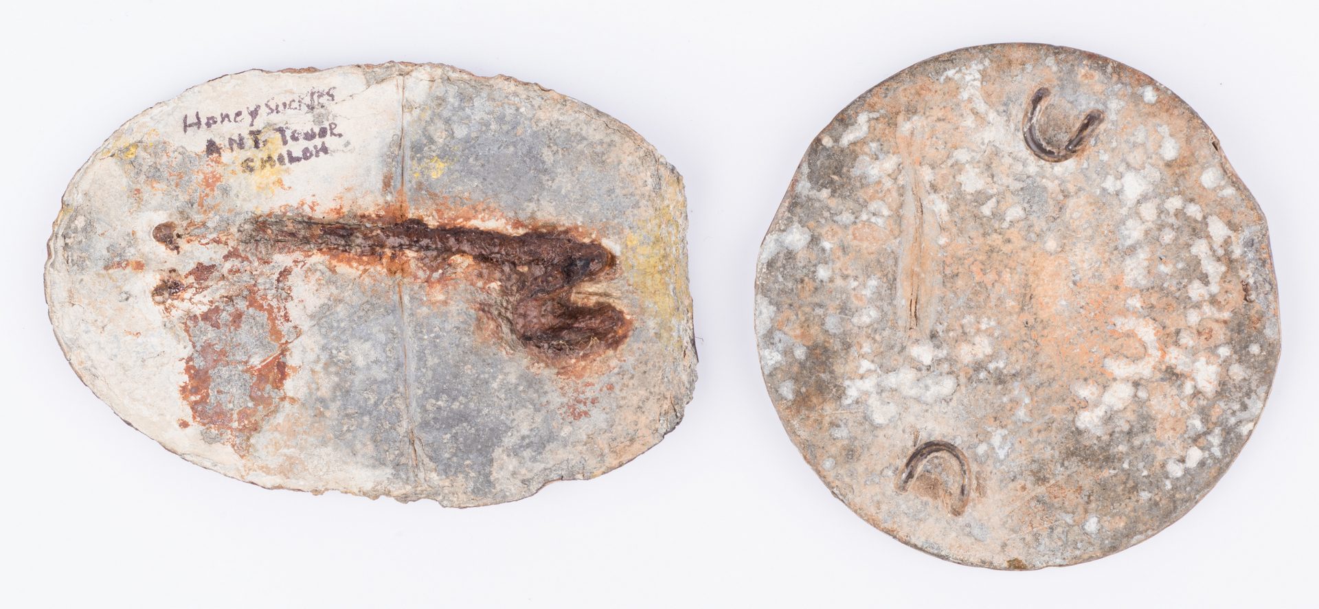Lot 218: 2 Civil War Dug Relics, Eagle Breastplate & U.S. Cartridge Plate