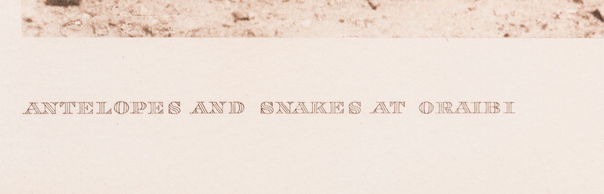 Lot 400: Edward S. Curtis, Antelope and Snakes at Oraibi