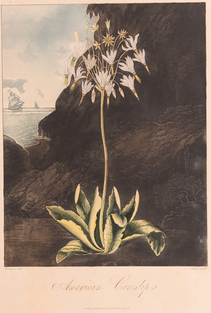 Lot 743: 4 Temple of Flora Engravings, R.J. Thorton, 1812