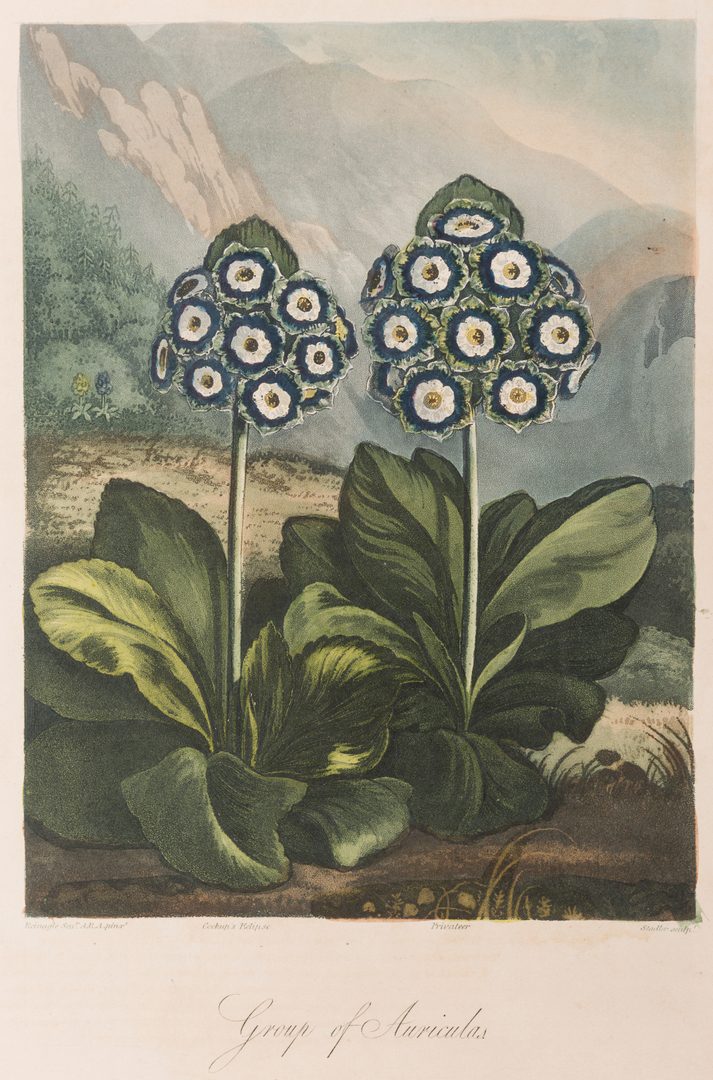 Lot 743: 4 Temple of Flora Engravings, R.J. Thorton, 1812