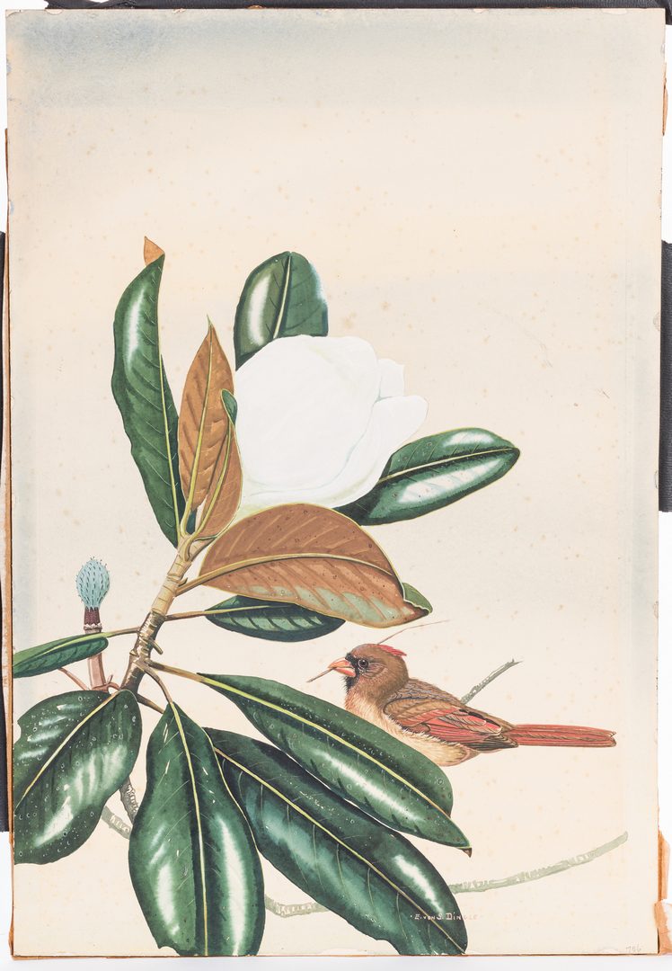 Lot 102: E. Von S. Dingle Watercolor, Cardinal & Magnolia
