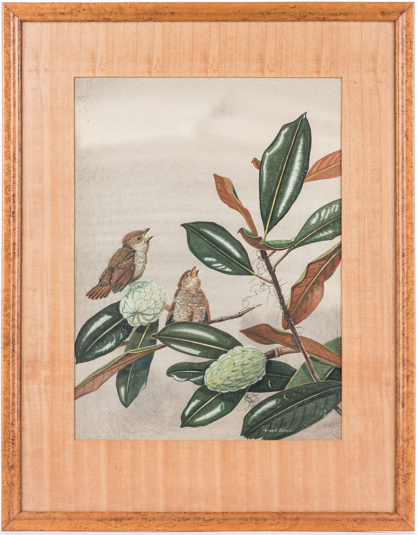 Lot 103: E. Von S. Dingle watercolor, 2 birds and Magnolia