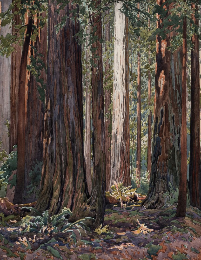 Lot 554: Gunnar Widforss Western Watercolor, In the Redwoods