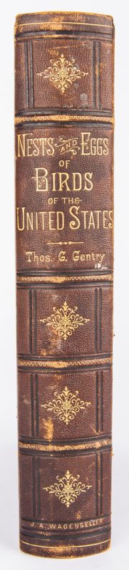 Lot 804: Gentry, Birds of the United States, 1882