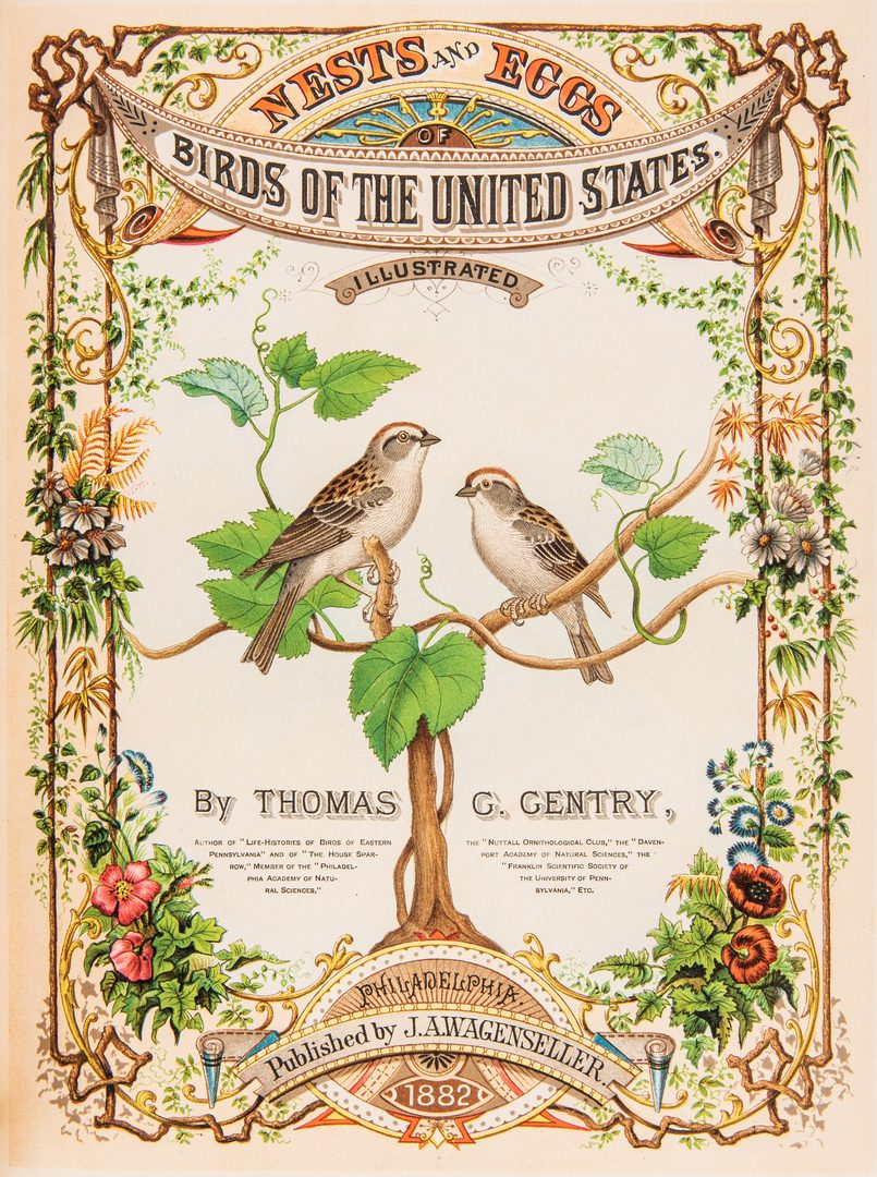 Lot 804: Gentry, Birds of the United States, 1882
