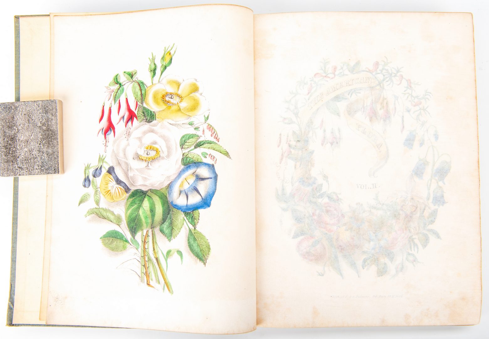 Lot 807: A. B. Strong, American Flora Vol. I & II, 1847-48