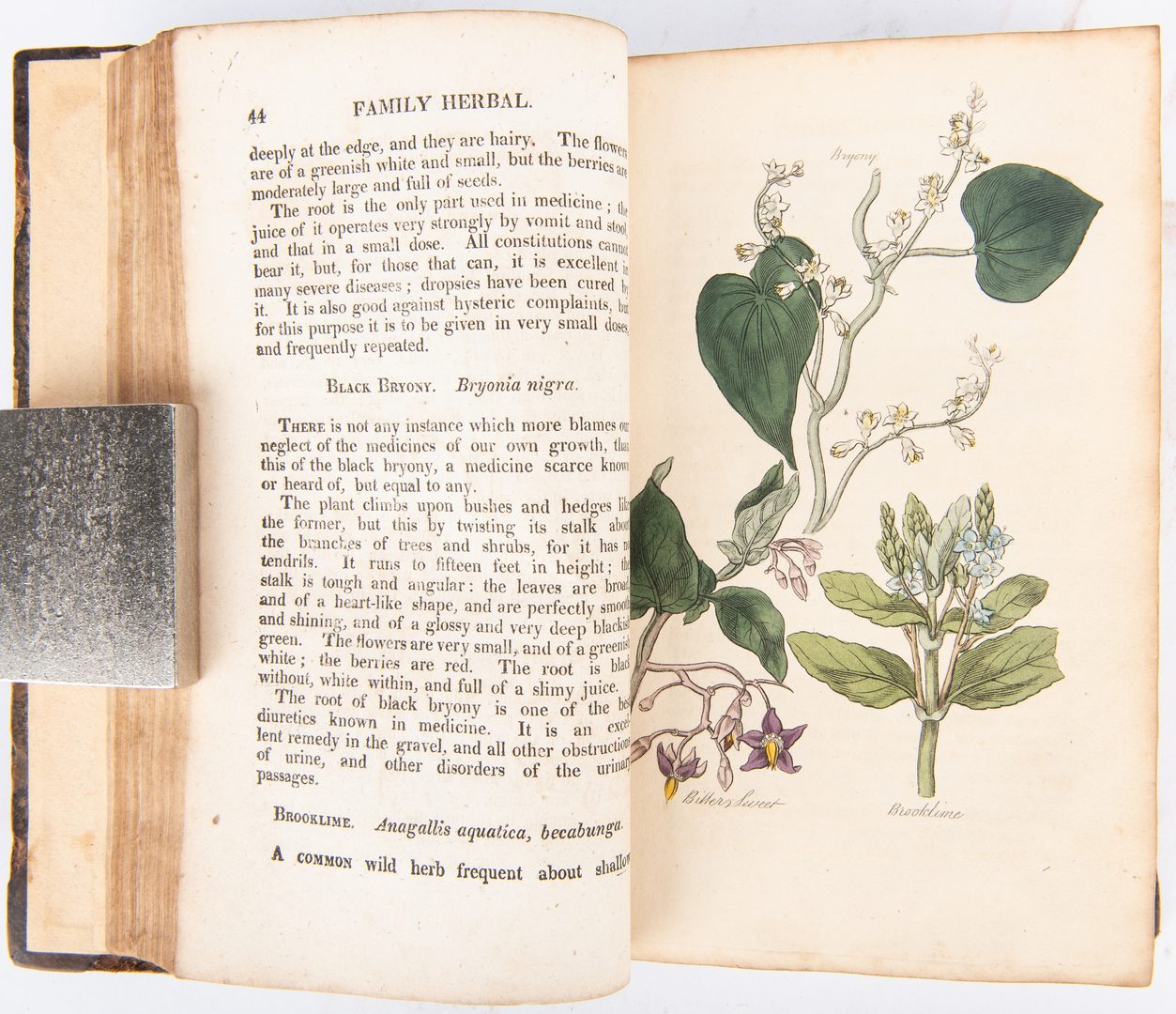 Lot 101: 8 Herbal/Floral Related Books