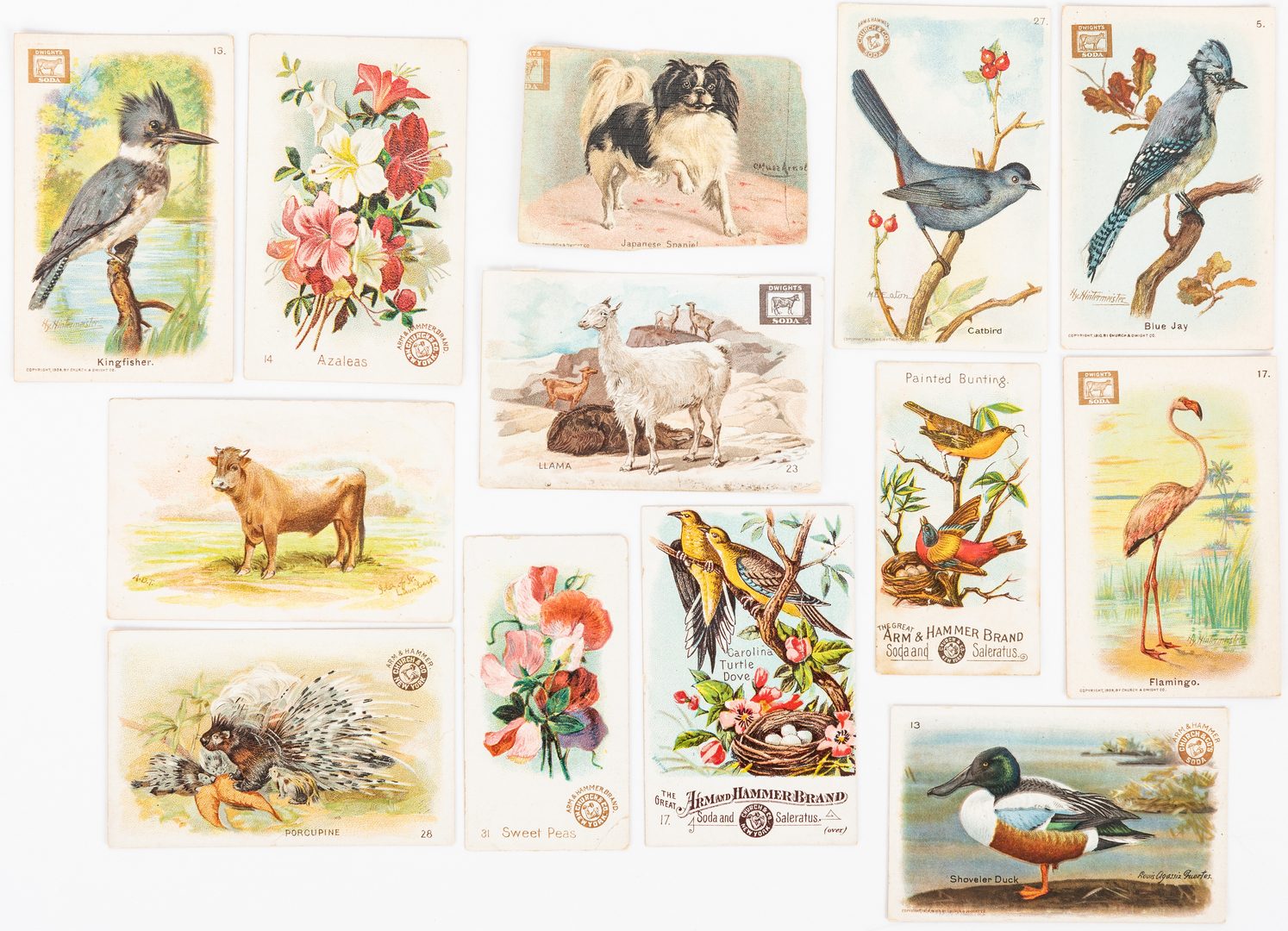 Lot 406: Collection of 893 Advertising Trade Cards