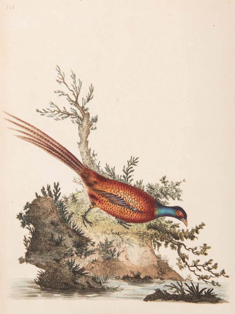 Lot 86: Donovan's Natural History of Birds, 5 Vols.