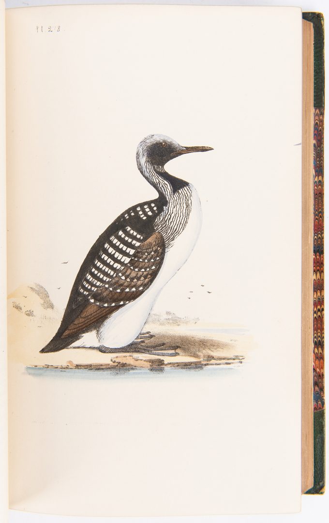 Lot 87: Meyer's British Birds and Their Eggs, 7 vols., 1857