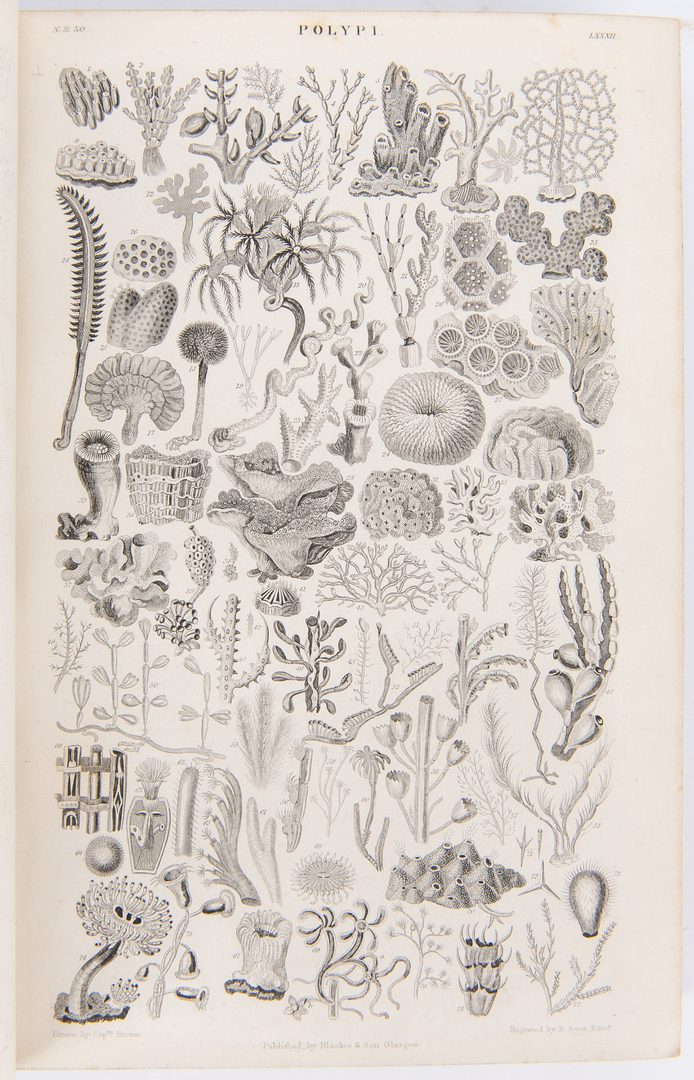 Lot 88: 3 Bird/Natural History Books, inc. Goldsmith, Sharp, & Wood