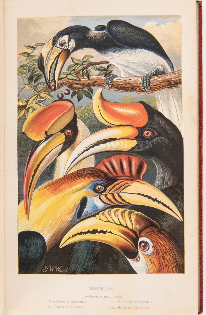 Lot 88: 3 Bird/Natural History Books, inc. Goldsmith, Sharp, & Wood