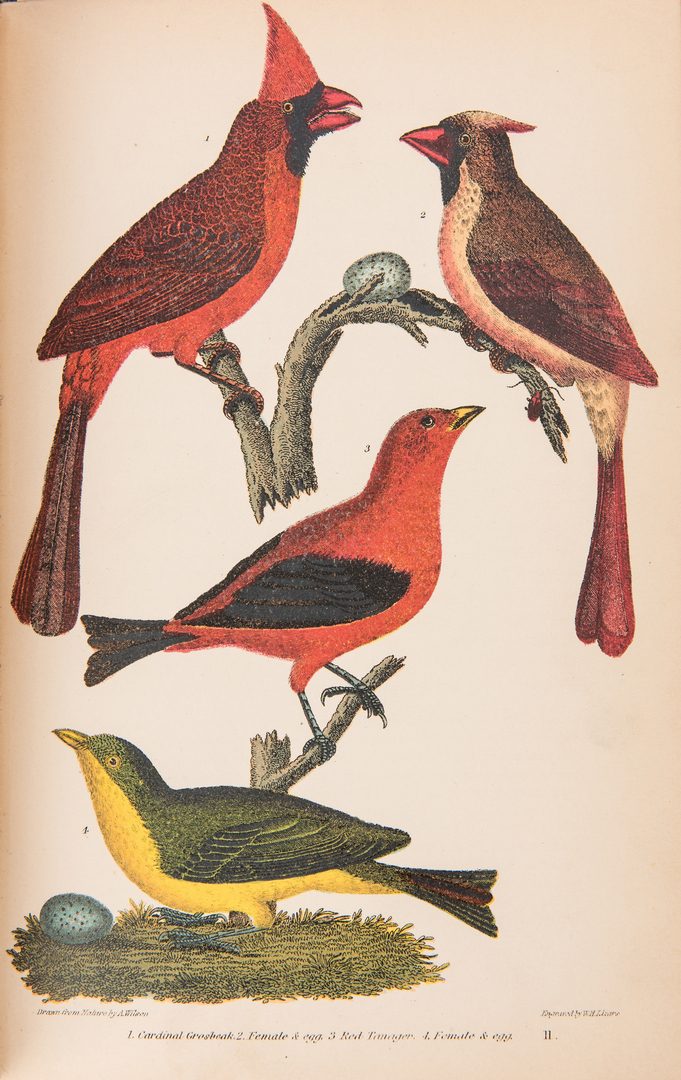 Lot 90: Wilson & Bonaparte, American Ornithology, Vol. I-III, 1877