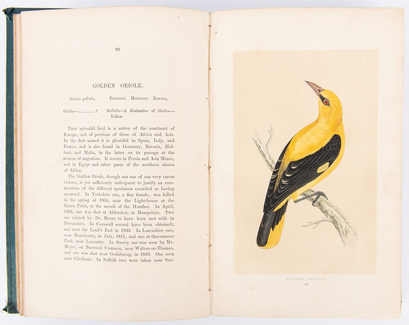 Lot 92: Morris, A History of British Birds, Vol. 1-6, 1851-1857